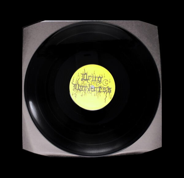 Junkie Witch / Drug Darkness - Junkie Witch / Drug Darkness Split LP