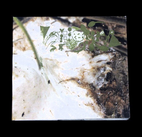 Phyllomedusa - The Foam Nest (2015 Version) CDr