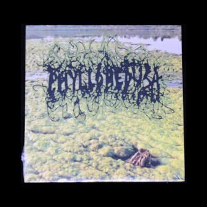 new7 Phyllomedusa - Algaeicntopia II: Harsh Times At Sludgemont High CDr