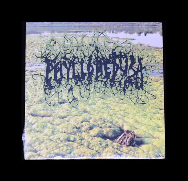 new7 Phyllomedusa - Algaeicntopia II: Harsh Times At Sludgemont High CDr