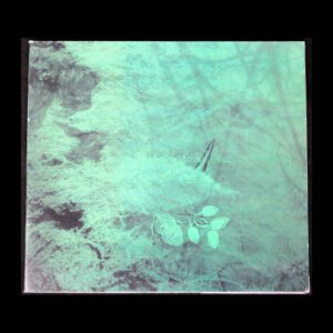 new7 Macrophagous Gilled Larvae - The Chikila Architecture CDr